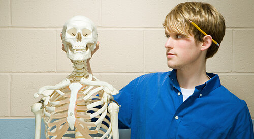 Ein junger Medizinstudent steht im PJ Allgemeinmedizin neben einem Skelett
